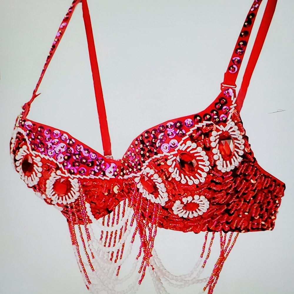 Flower Belly Dance Sequin Beaded Bra Plus Size